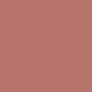 Toasty (Soft Pink Brown)