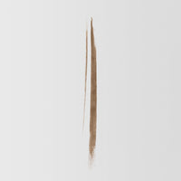 Swatch of the Master Blade® Brow Pencil in shade Light Brunette.