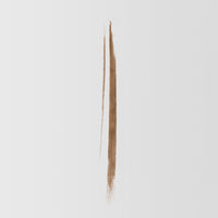 Swatch of the Master Blade® Brow Pencil in shade Honey Brunette.
