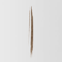 Swatch of the Master Blade® Brow Pencil in shade Classic Brunette.